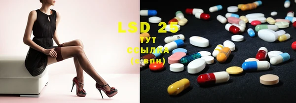 ECSTASY Белокуриха