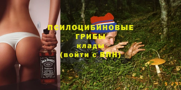 ECSTASY Белокуриха