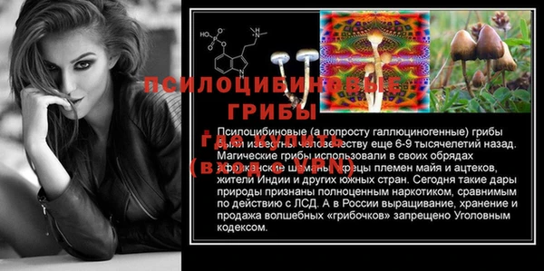 ПСИЛОЦИБИНОВЫЕ ГРИБЫ Беломорск