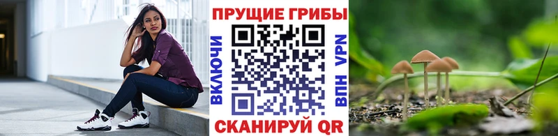 ссылка на мегу сайт  где купить наркоту  Валуйки  Псилоцибиновые грибы Cubensis 