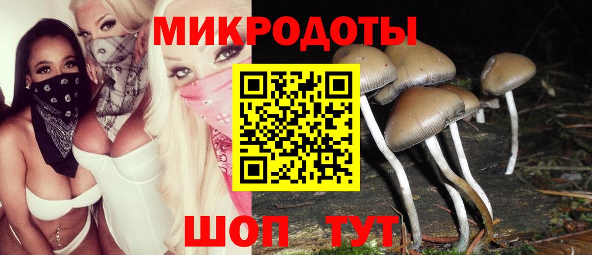 Галлюциногенные грибы Cubensis Валуйки
